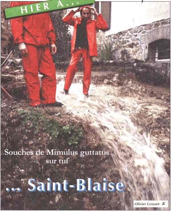 Express du 17 octobre 1996